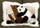 Panda in Tree Pattern Alpaca Pillow with White Border