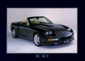 Brochure de vente - 2010 AC Cobra MK6 (2010 AC Cobra MK6)