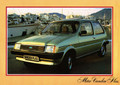 Sales Brochure - 1983 Austin Metro Vanden Plas (1983 Austin Metro Vanden Plas)