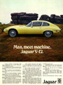 Advert - 1973 Jaguar XKE V12 Series III Roadster (1973 Jaguar E-Type V12-2)