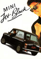 Verkoopbrochure - 1988 Austin Mini Jet Black (EO470)