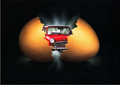 Sales Brochure - BMH Mini Shells (BMH Mini Shells)