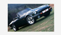 Sales Brochure - 1991 TVR V8 S (1991 TVR V8 S)