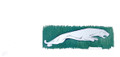 Sales Brochure - 1961 Jaguar Model Range (1961 Jaguar)