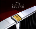 1994 Jaguar  (1994-Jaguar-large)