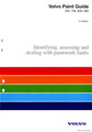 Service Manual-Identifying, Assessing and Dealing With Paintwork Faults 200, 700, 800, 900 (TP-8106201)