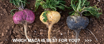 Best Maca