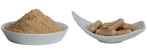 gelatinized red maca root powder and capsules