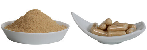 gelatinized yellow maca root powder and capsules