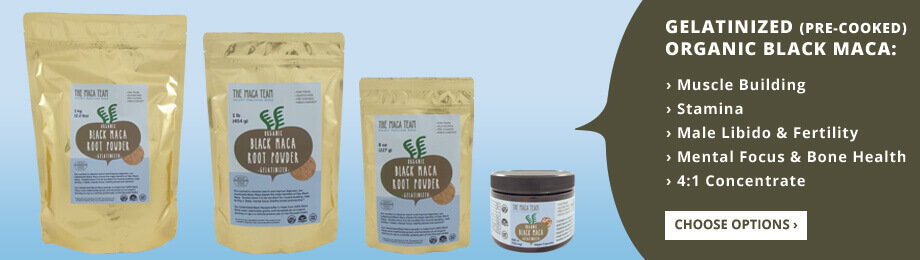 gelatinized black maca powder gelatinized black maca powder