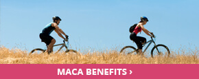 maca-benefits-290x115.jpg