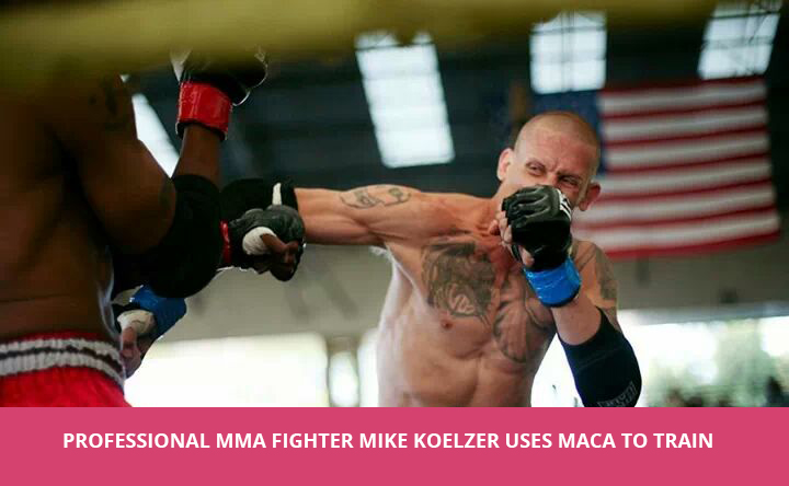 mike-koelzer-fight.jpg
