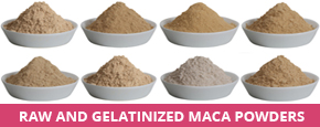 Maca Root