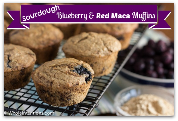 sourdough-blueberry-red-maca-muffins.jpg sourdough-blueberry-red-maca-muffins.jpg