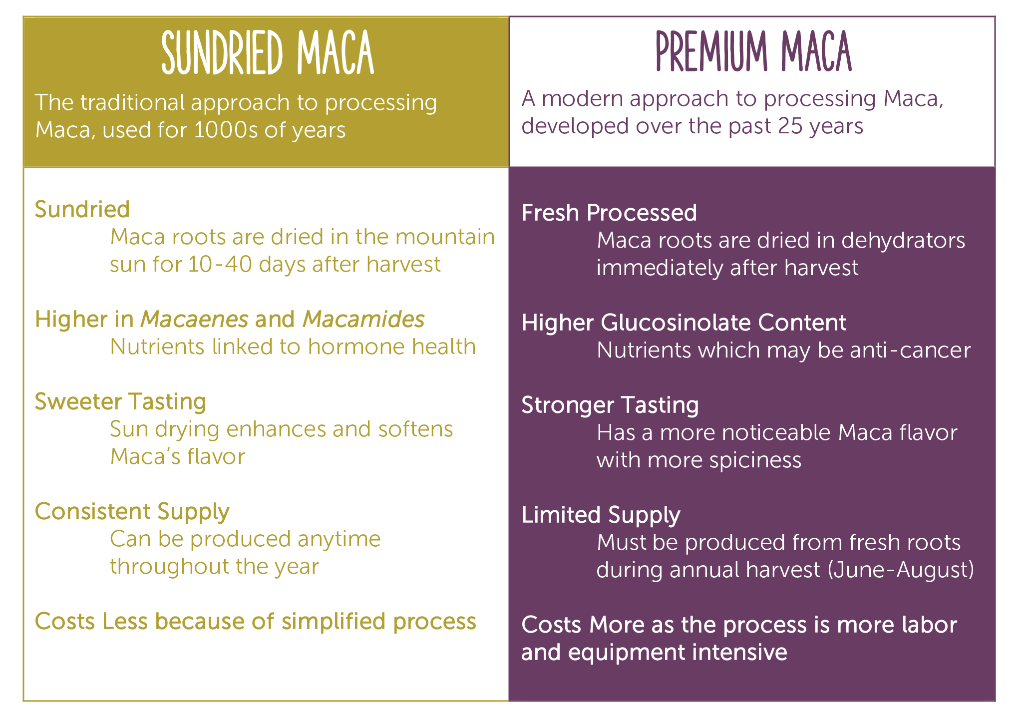 Raw vs. premium maca attributes