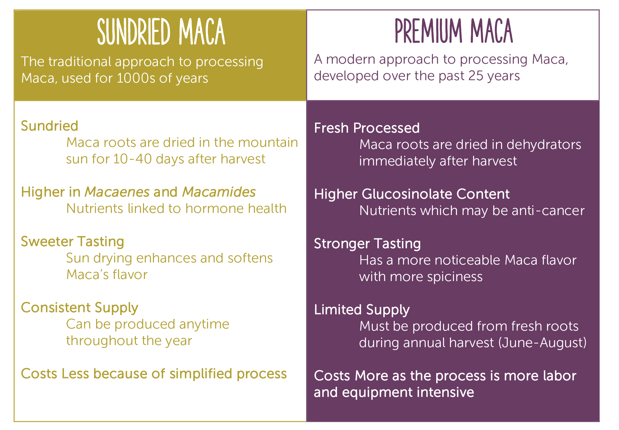 Premium Vs Sundried Maca Infographic