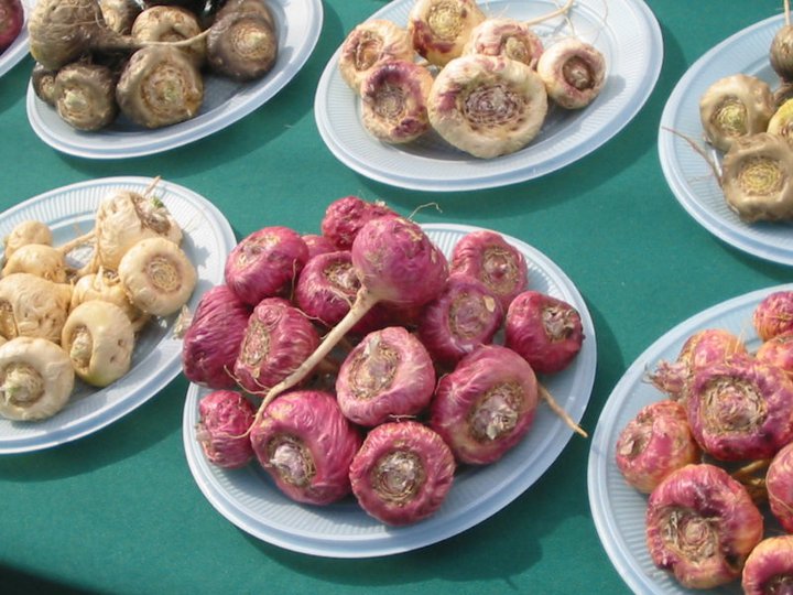 maca root side effects