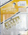 Precision Scale Co PSC 31467 Steps Brass 2 Large, 4 Small HO Scale
