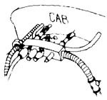 Bowser Cary SV-173 USRA STEAM TURRET (Brass) HO Scale