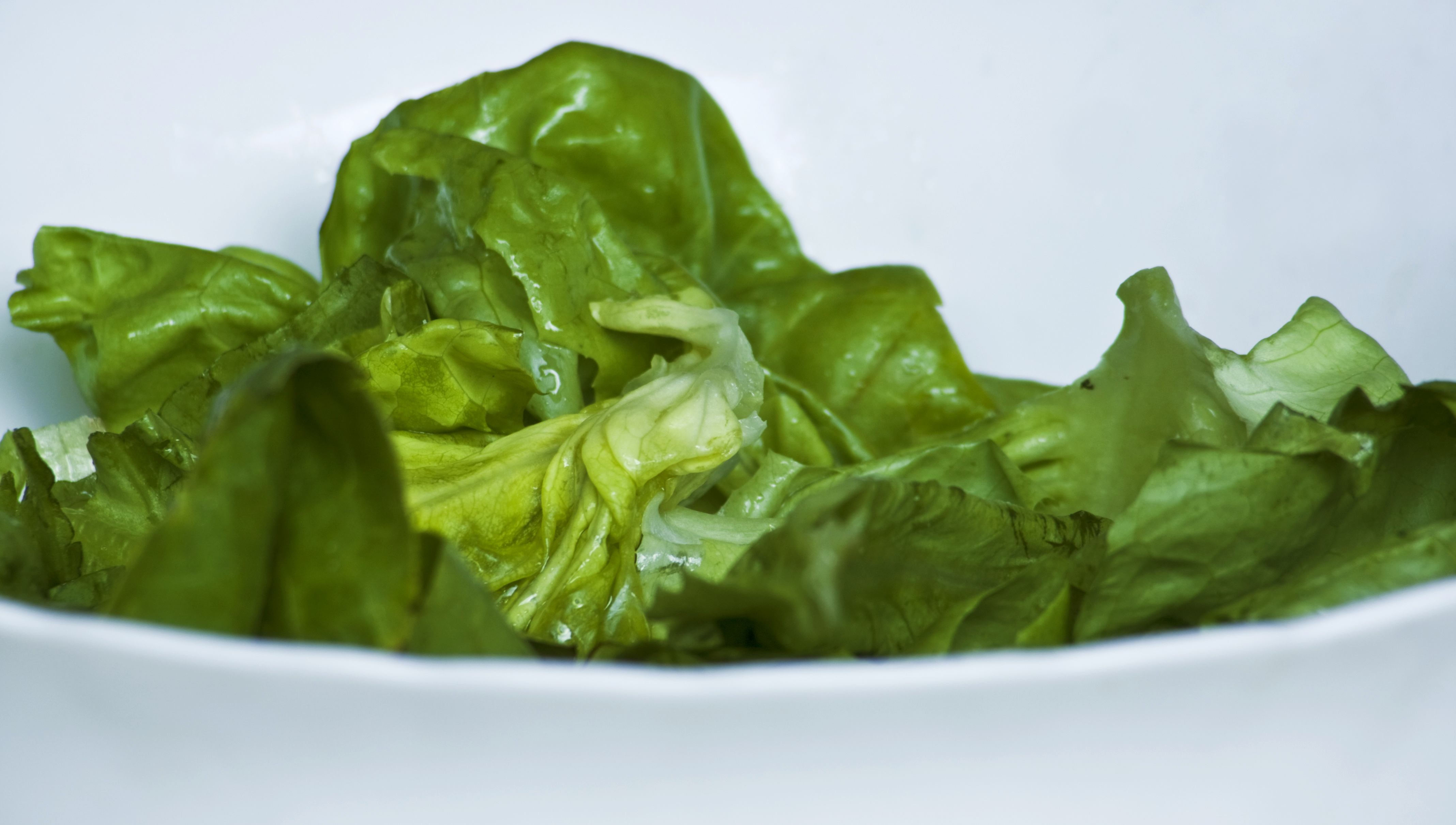 Don't eat dry lettuce while on Phase 2 of the HCG Diet.... there are plently types of HCG safe dressings. Click here to see the dressings NOW!