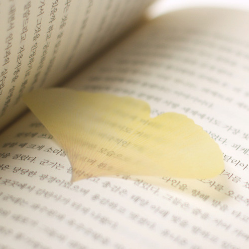 Ginkgo leaf transparent sticky memo notes Medium Ginkgo leaf transparent sticky memo notes Medium
