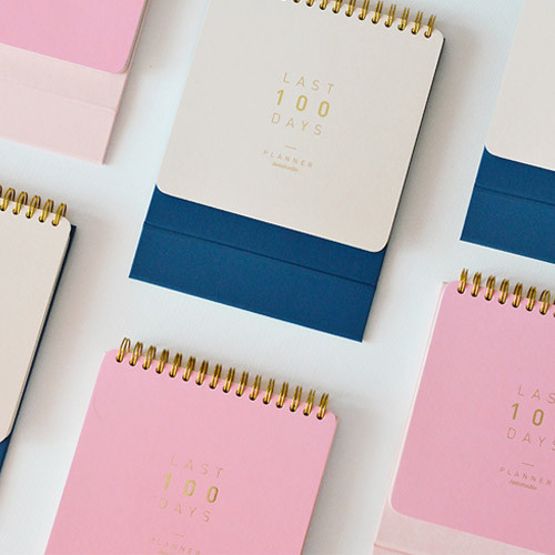 Last 100 days spiral undated planner Last 100 days spiral undated planner