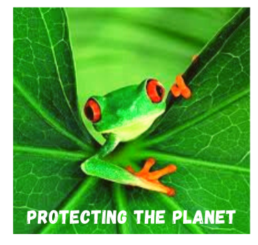 protectingtheplanetfrog.png