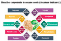 This special 200 gram pack of whole enzyme-active sesame seeds is Gluten free and suitable for Diabetics, vegan/vegetarians & Low-Sodium Diets. Sprinkle on breakfast cereal or add to soups, smoothies or cooked food - enjoy!