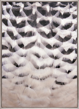 Aviles Feather III (Canvas)