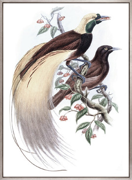 La Romieu Bird II (Canvas)