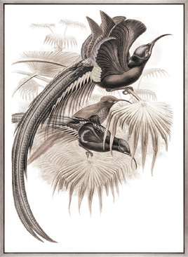 La Romieu Bird IV (Canvas)