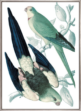 La Romieu Bird V (Canvas)