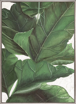Amara Foliage IV (Canvas)
