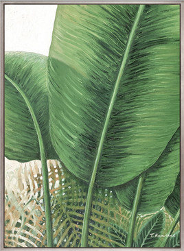 Amara Foliage IX (Canvas)