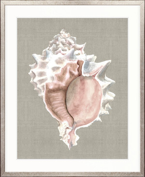 Alva Seashell I