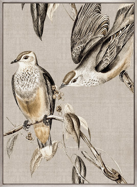 Meadow Birds VI (Canvas)