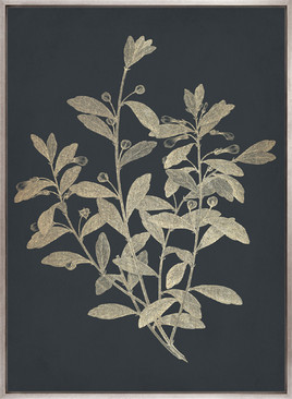 Luxe Foliage II (Canvas)