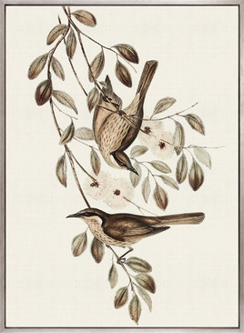Shildon Birds II (Canvas)