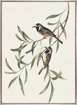 Shildon Birds III (Canvas)