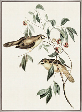 Shildon Birds IV (Canvas)
