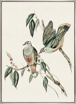 Shildon Birds VI (Canvas)