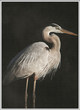 East Hampton Heron II (Canvas)
