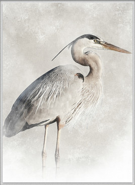 East Hampton Heron V (Canvas)