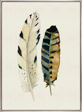 Feather Delight VI (Canvas)