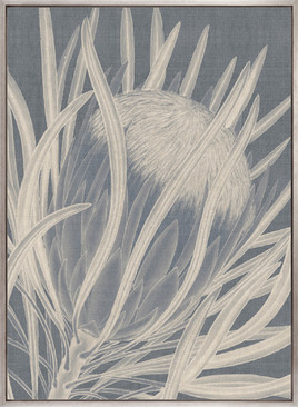 Protea Silhouette II (Canvas)