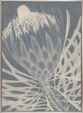 Protea Silhouette III (Canvas)