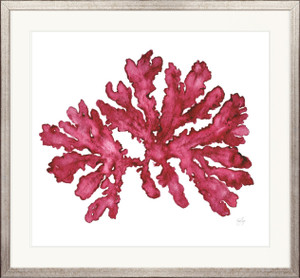 Rubine Red Coral I