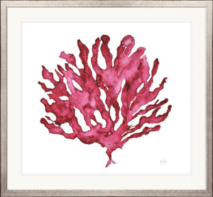 Rubine Red Coral III