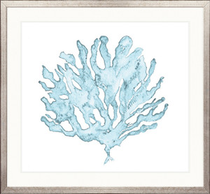 Pale Blue Coral III