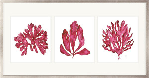 Rubine Red Coral Triptych